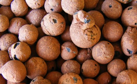 �������������� ���������