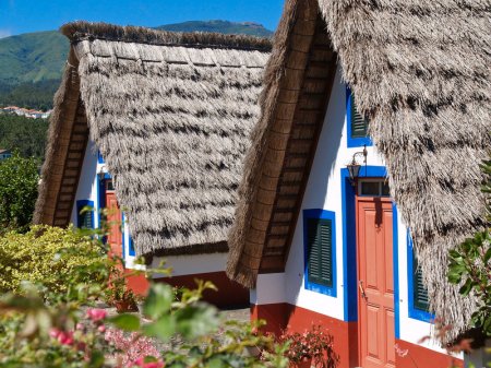 ���� ������ ���������