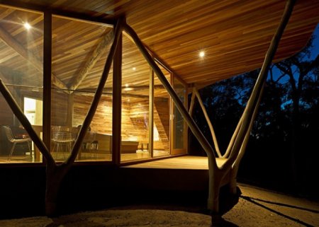 ���� ������ ���������