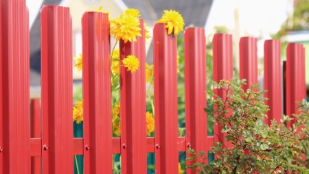 ������������� ��������� 