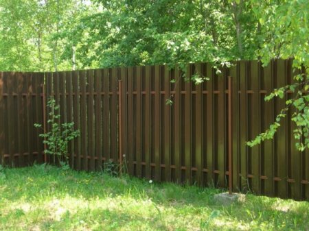 ������������� ��������� 