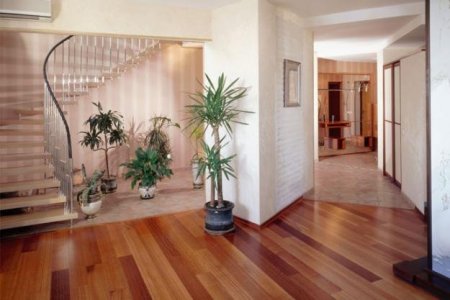 ������ ����������� ���� ������ ������