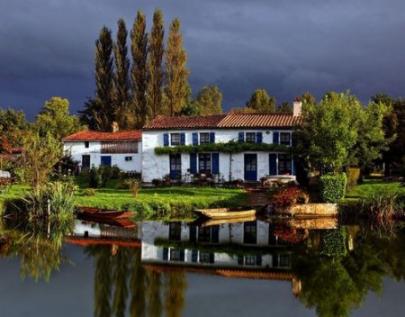 ������������ ����� � ���������� ����