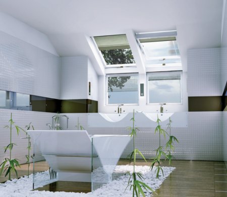 ��� ������������ ����� ���� � ������������ ���������