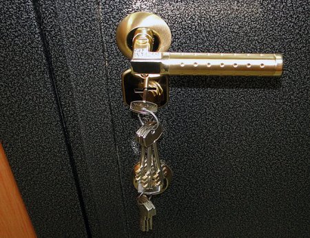 Надежная защита дома – новая металлическая дверь
