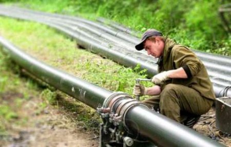 ������ �������������� ���� �����: ����������� ���������