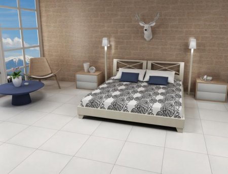 ������������ ���������