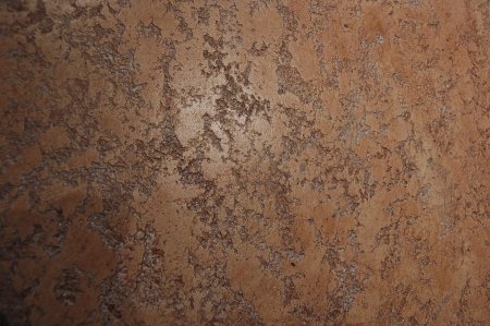 ������������ ���������� ����