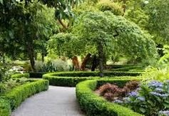 ����������� ������ � ���-���