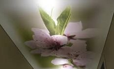 �������� ������� ������� � ��������