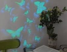 ������ ������, ����������� ��� ����