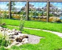 ������������� ������