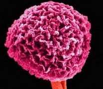 ��� � ��� ������� �������