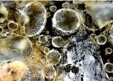 ��� � ��� ������� �������