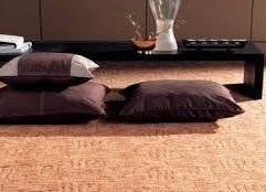 ���� �� ���������