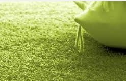 ���� �� ���������