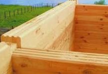 �� ���� ������ ���� 