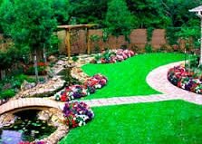 ���������� ���� ��� ������� ����������