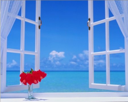 ������� ���� � �� �����