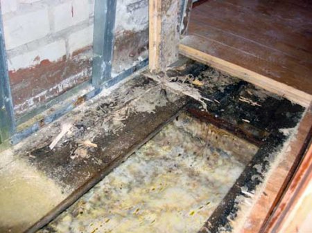 ���������� ����� ����������� ����