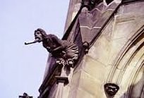 ������������ ���������