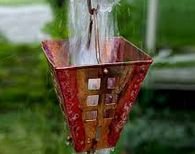 ������������ ���������