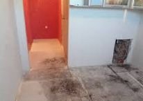 �������� ���