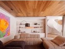 ���� ����������� ��������