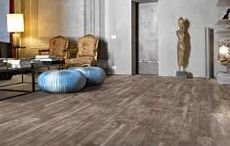 ������� ���������� ��������� � �� ����������� ����. ������