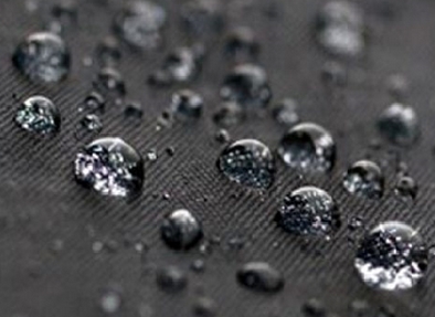 ��� �������� ����������� �� �����?