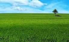 ������������ �������