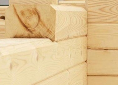 ������ ���� �� ����� �� ����� � ������