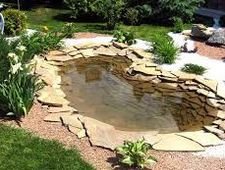 ������������ ���� �� ����