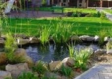 ������������ ���� �� ����