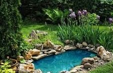 ������������ ���� �� ����