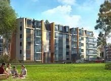 ����� ������ ���������