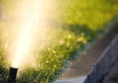 ����� ���� ��� ������ ����������