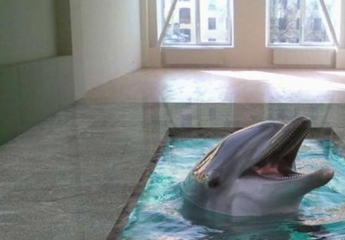 �������� ���� � ����������� �����