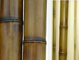 ���������� ������ � �������������