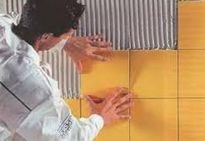 ��� ������ ������ �� �����