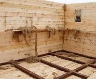 ������������� ����