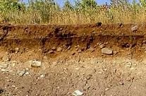 ����� ���������� ���� ������� 