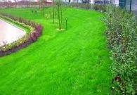 ����������� ������ ���������� �������