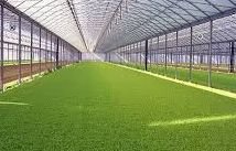 ������������� ������������ ������