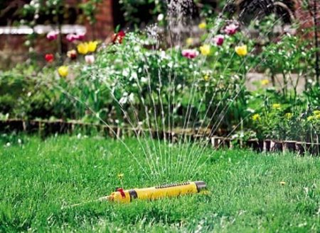 ����� �������� � �������: ������, ������������������ � �������������� ������