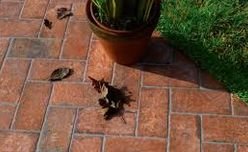 ���������� ������������� ��� ����