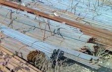 �����. �������������