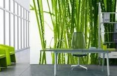 ���� ��� �����