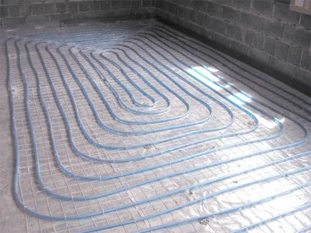 ��� ������� ������� ������ ��� � ����