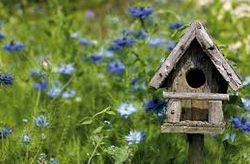 ������� �����